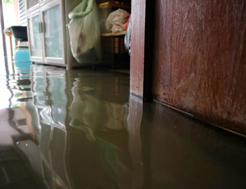 Flood Insurance in NYC: When to Get and Use Coverage