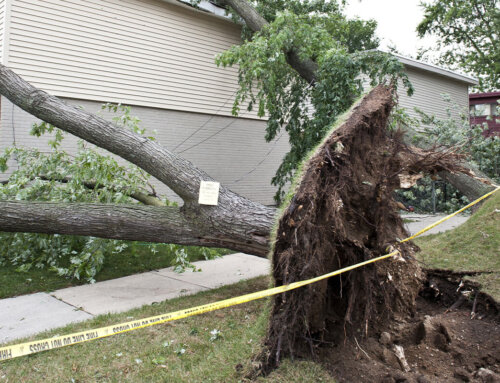 Does Homeowners Insurance Cover Spring Storm Damage?